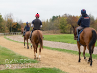 BP011124-57 - Ben Pauling Stable Visit